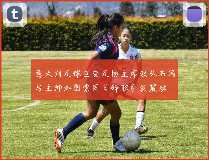 意大利足球巨变足协主席领队布冯与主帅加图索同日辞职引发震动